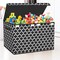 Large Toy Storage Organizer with Lid and Divider - Durable Toy Box for Boys, Kids, Toddler, Collapsible Toy Chest for Living Room Area, Playroom, Nursery, Black